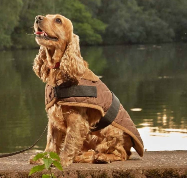 Gor Pets Worcester Brown Quilted Dog Coat