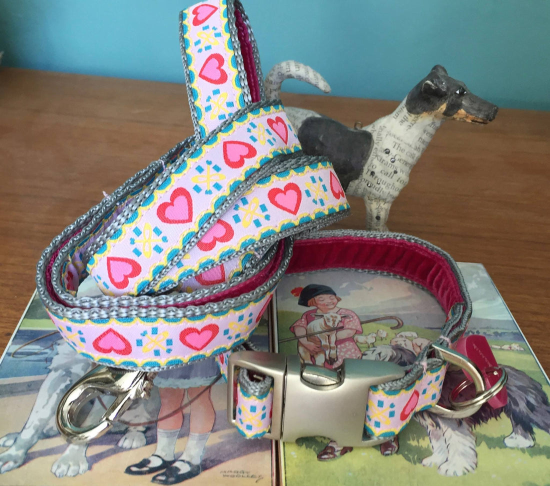 designer puppy collar and lead sets