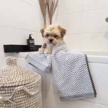 luxury puppy towels