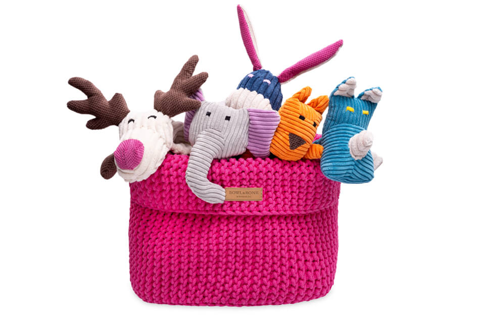 Dog Toys & Accessories