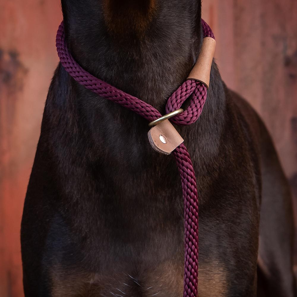 Rope dog leads at Chelsea Dogs