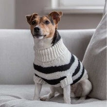 luxury puppy jumpers