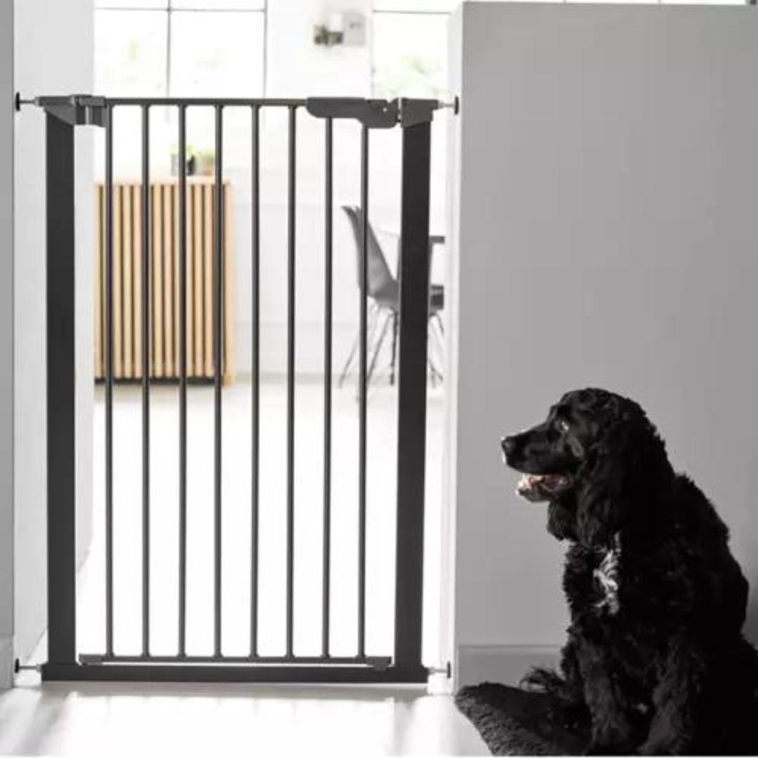 Pet gates at Chelsea Dogs