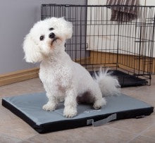 puppy crate mats