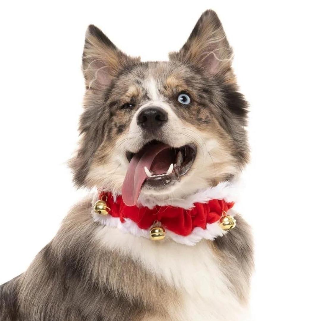 Christmas dog collars