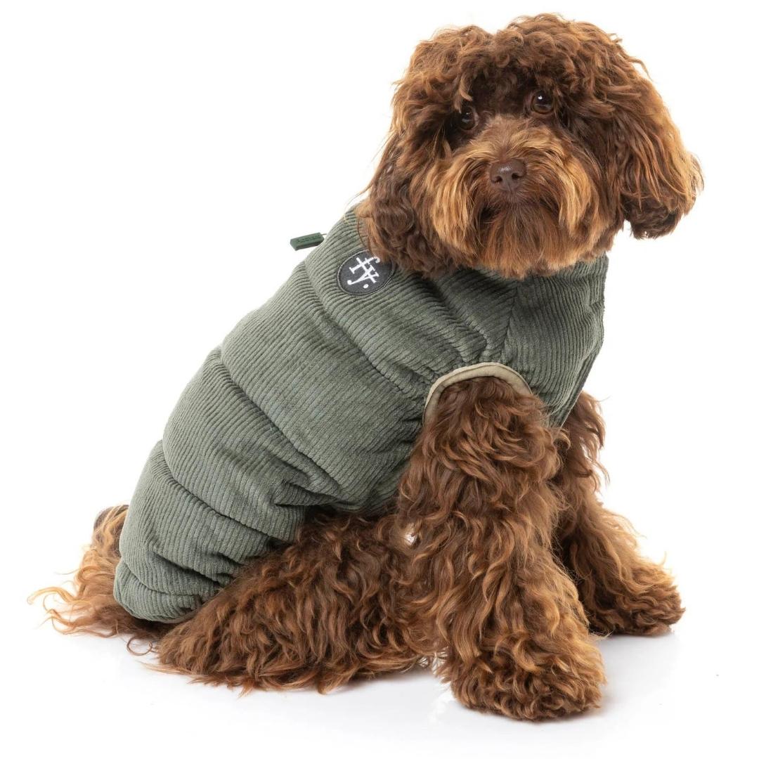 Winter Dog Coats