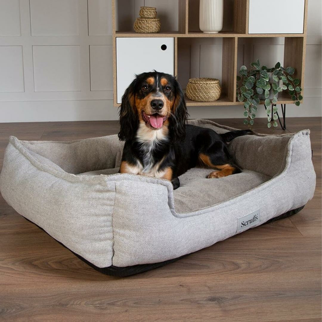 Memory Foam Dog Beds