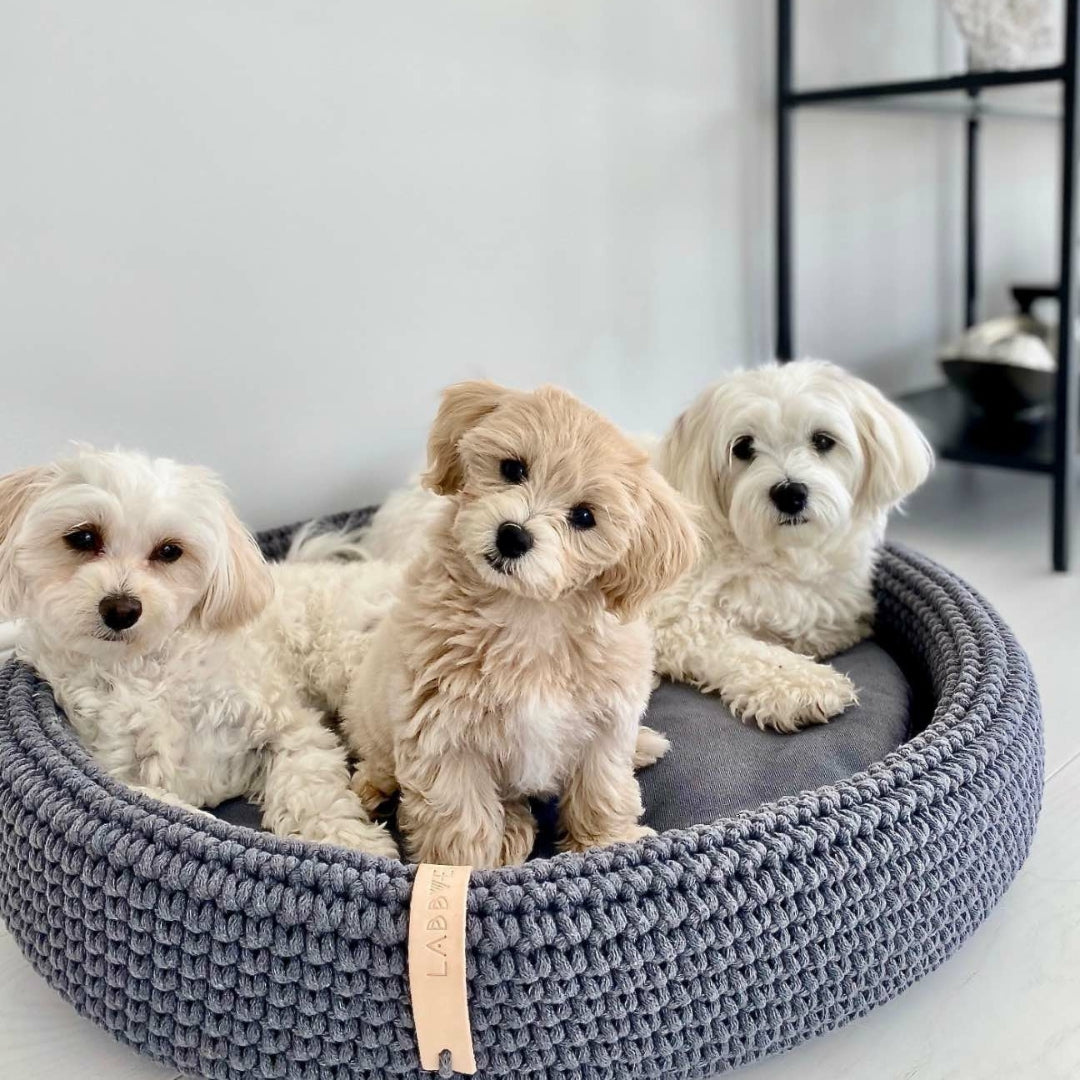 Luxury dog beds, blankets and accessories at Chelsea Dogs