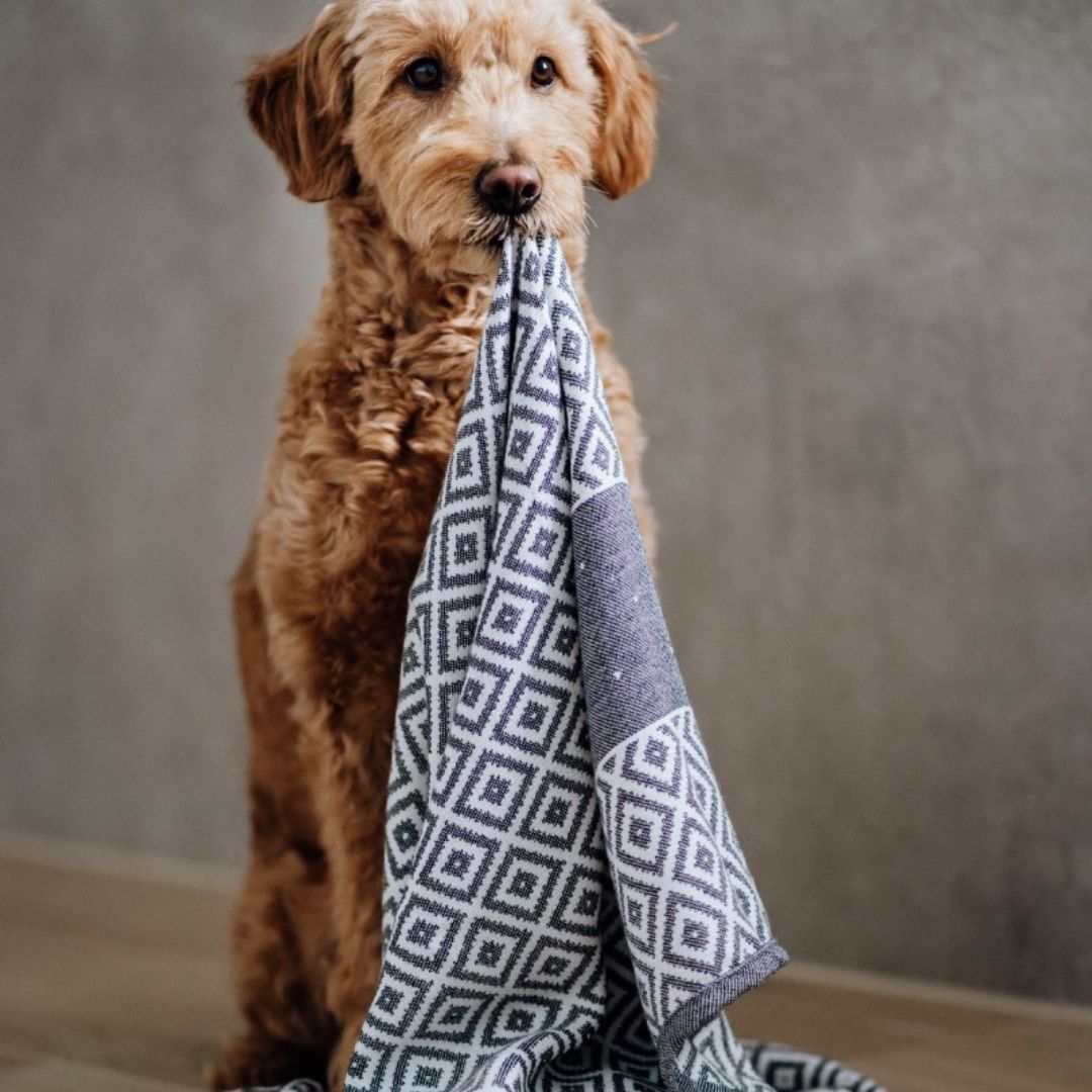 Luxury Dog Towels