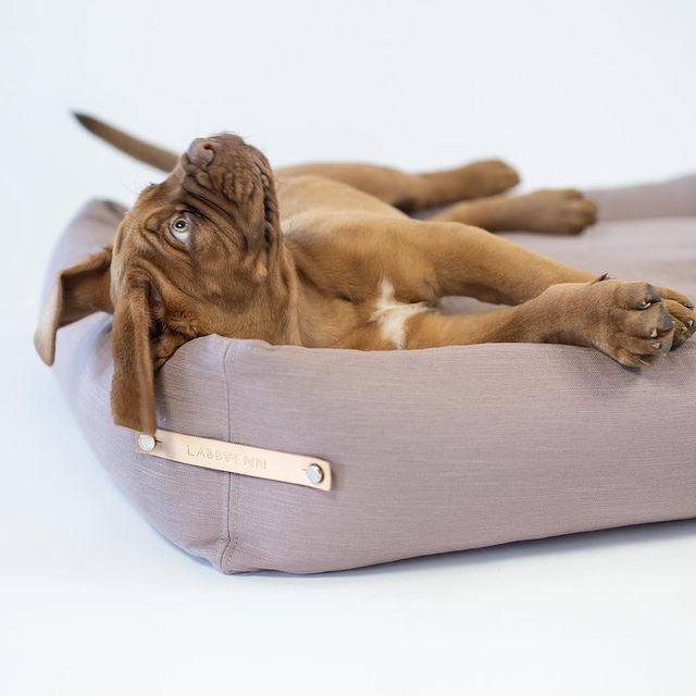 luxury puppy beds