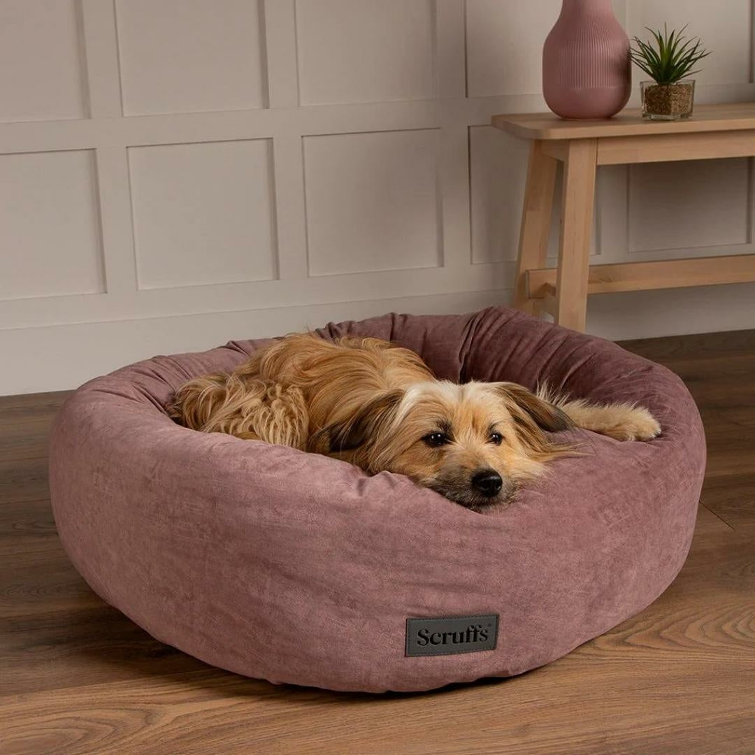 Luxury Donut Dog Dog Beds