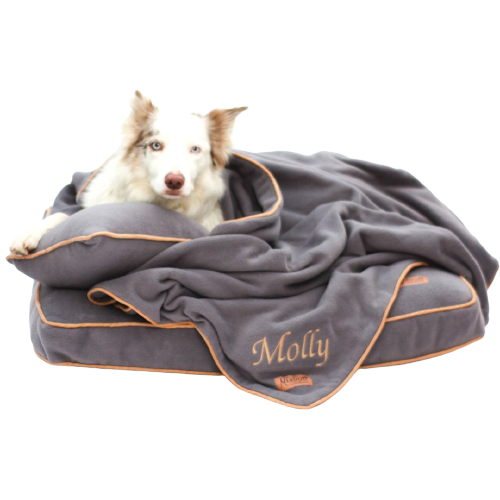 personalised dog beds and accessories