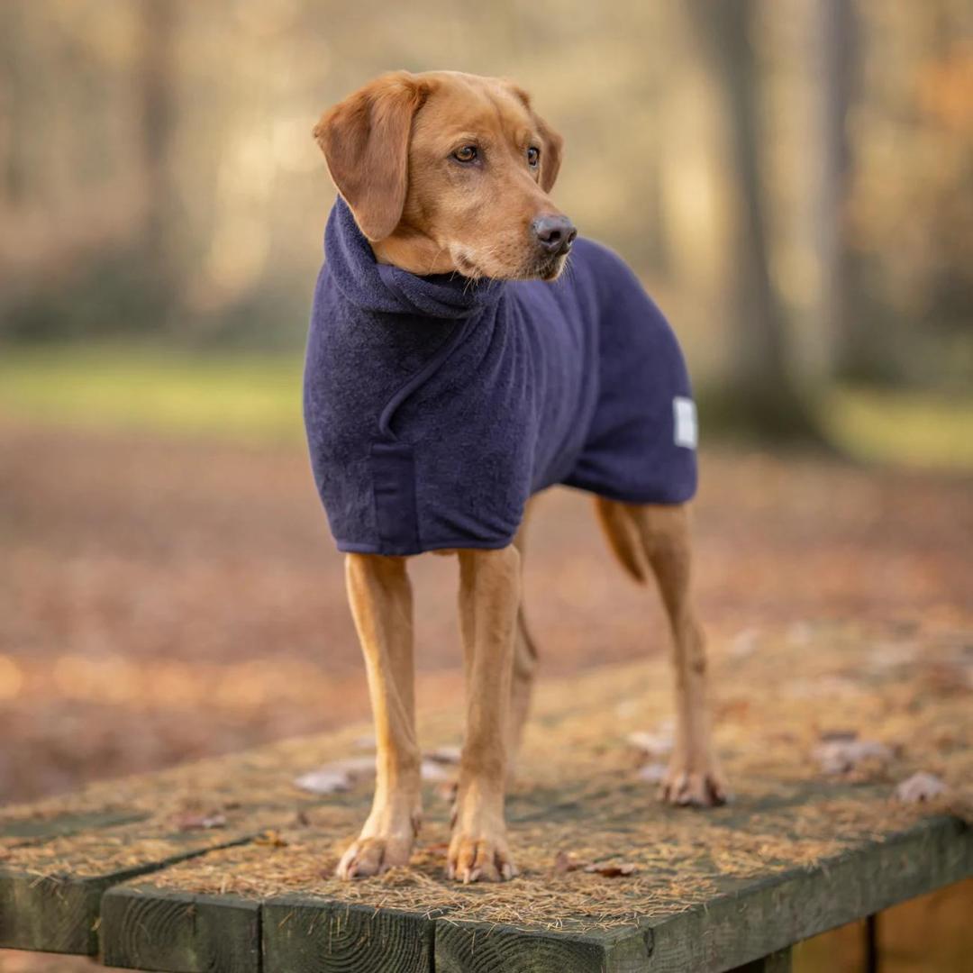 Dog drying coats