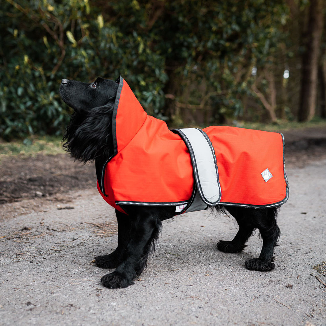 Waterproof Dog Coats