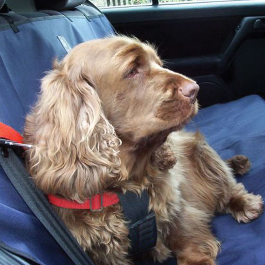Car seat covers for pets