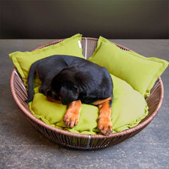 Luxury Orthopaedic Siro Saleen Dog Basket