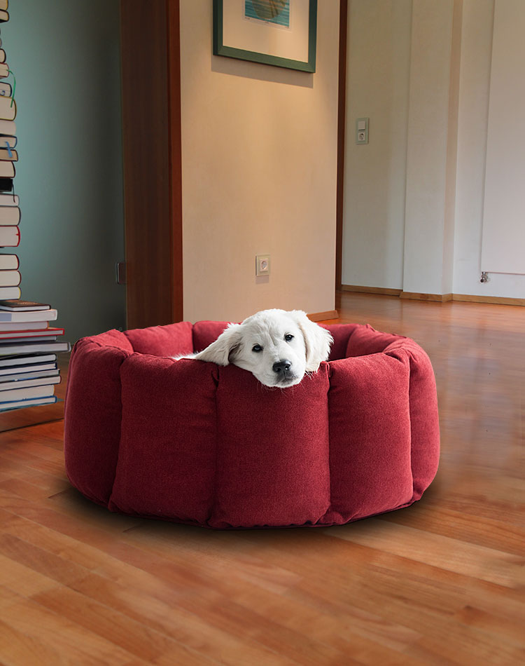 Luxury Bloom Nest Dog Bed