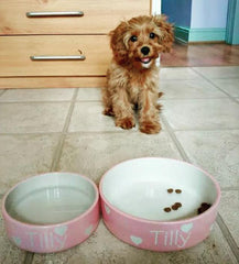 Personalised Ceramic Solids Dog Bowls