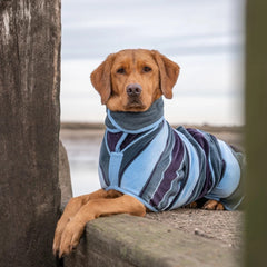 Ruff And Tumble Dog Drying Coat Harbour Stripe