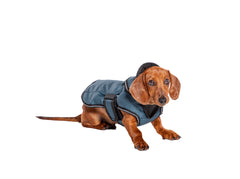 2-in-1 Blue Waterproof Harness Dog Coat by Danish Design