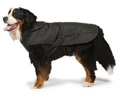 2-in-1 Waterproof Harness Dog Coat by Danish Design