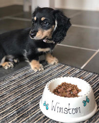 Personalised Ceramic Whimsical Dog Bowls Paws