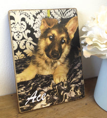 Personalised Pet Photo Block