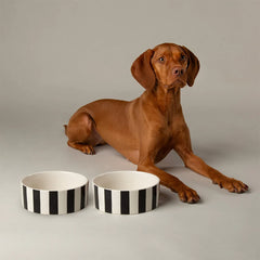 Amalfi Stripe 2 Piece Dog Food & Water Bowl Set - Black