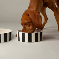 Amalfi Stripe 2 Piece Dog Food & Water Bowl Set - Black