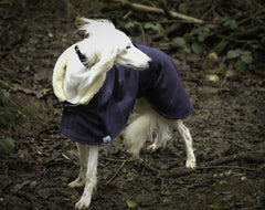 Minkeys Tweed Liberty Tweed Greyhound & Whippet Coat