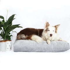Opulence Scandinavian Grey Cushion Dog Bed - Can Be Personalised by Miaboo