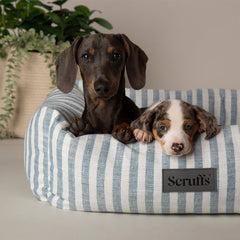 Coastal Box Dog Bed - Blue