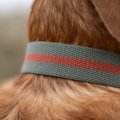 All-Terrain Canvas Dog Collar - Khaki / Chestnut