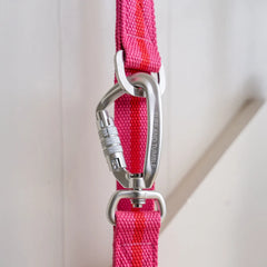 All-Terrain Canvas Dog Lead - Fuchsia / Scarlet