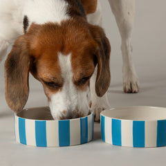 Amalfi Stripe 2 Piece Dog Food & Water Bowl Set - Blue