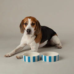 Amalfi Stripe 2 Piece Dog Food & Water Bowl Set - Blue