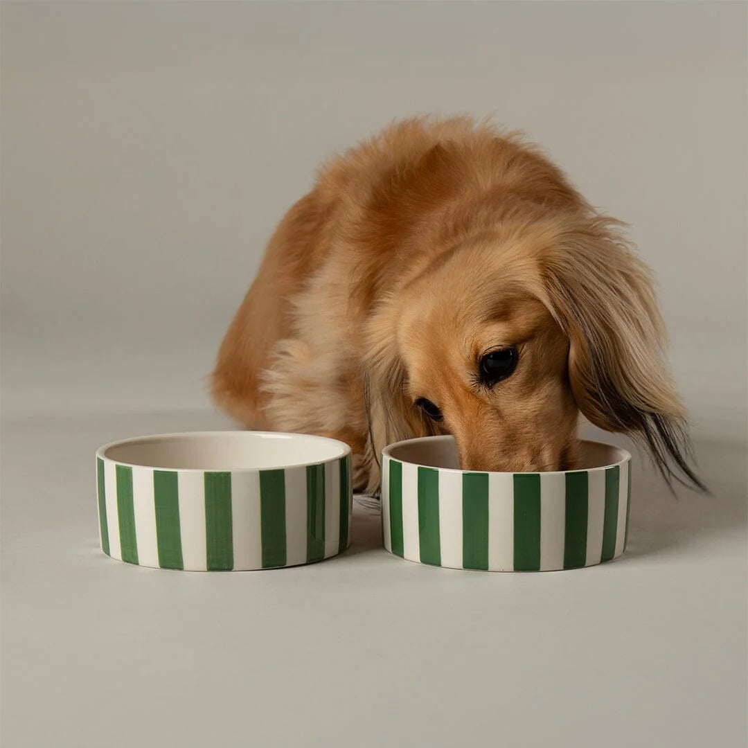 Amalfi Stripe 2 Piece Dog Food & Water Bowl Set - Green