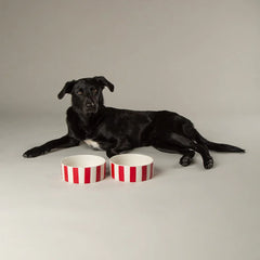 Amalfi Stripe 2 Piece Dog Food & Water Bowl Set - Red