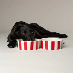 Amalfi Stripe 2 Piece Dog Food & Water Bowl Set - Red
