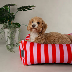 Amalfi Striped Box Bed - Pink