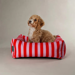 Amalfi Striped Box Bed - Pink
