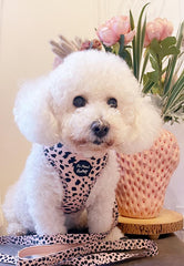 Beige & Black Scruffy Dots Dog Harness