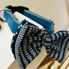 Bertie Blue Velvet Bow Tie Dog Collar