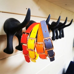 Biothane Vegan Dog Collars