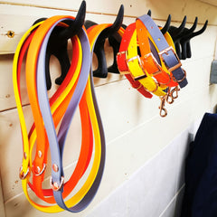 Biothane Vegan Dog Collars and Leads