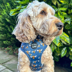 Blue Buzzy Bumble Bee Dog Harness