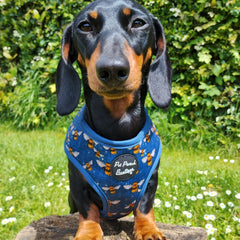 Blue Buzzy Bumble Bee Dog Harness