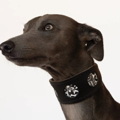 Bow Wow Haus Hound Collar by Hiro And Wolf