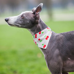 Creature Clothes Slip On Dog Bandana Cherries