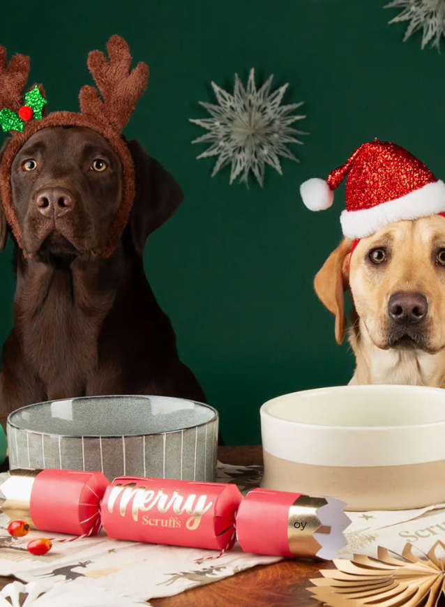 Christmas Dog Bowls